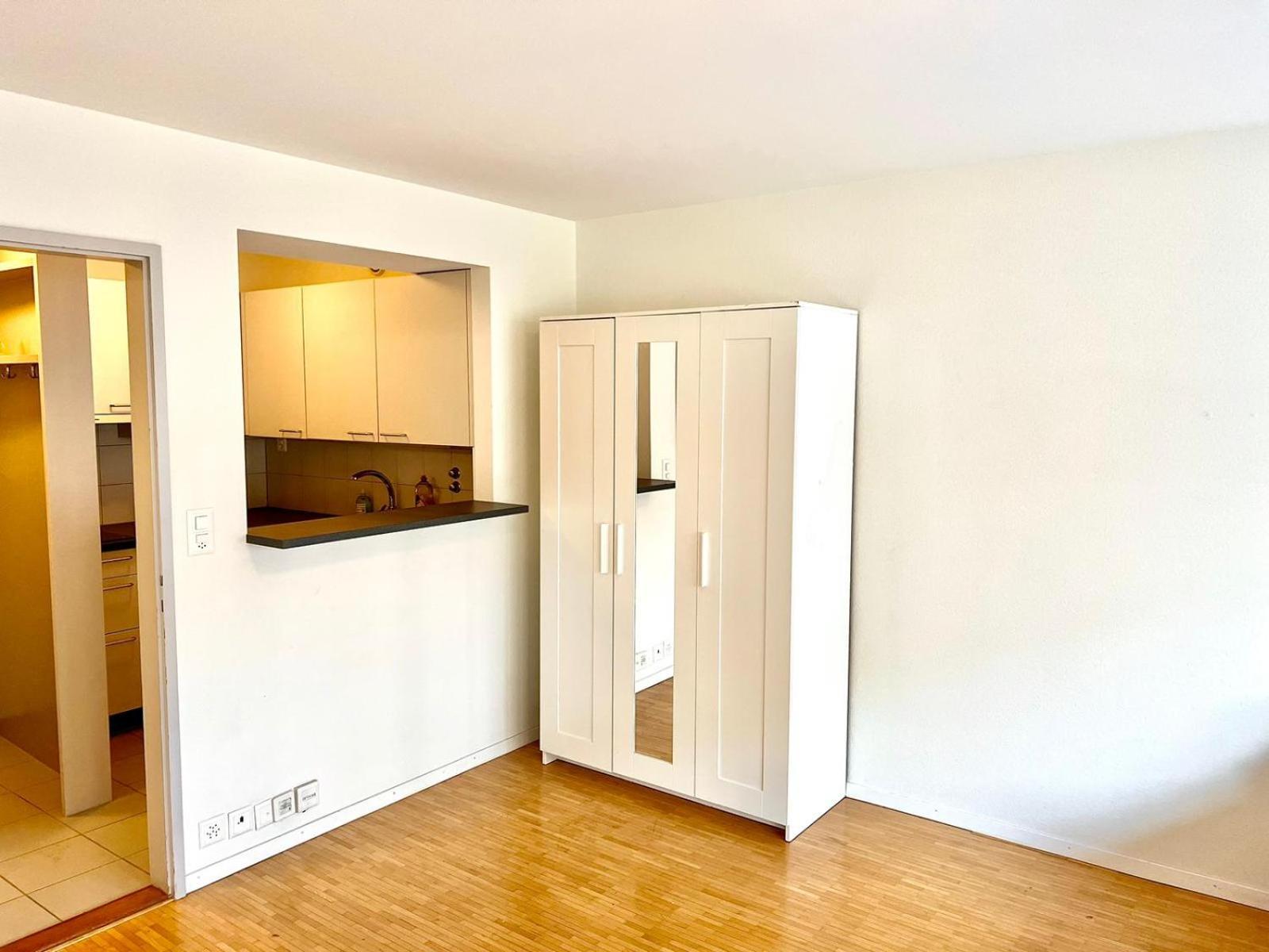 Downtown Apartments, - Self Checkin Lucerne